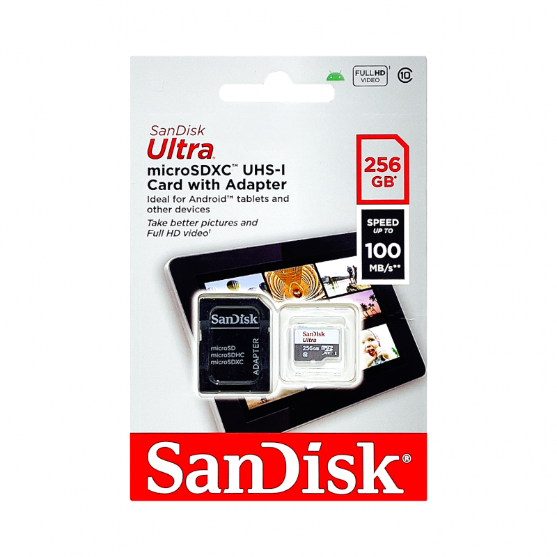 Cartão de Memória Micro Sd 256Gb Sandisk	