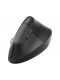 Mouse Bluetooth Lift Logitech 