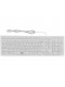 Teclado Com Fio Flat TC300